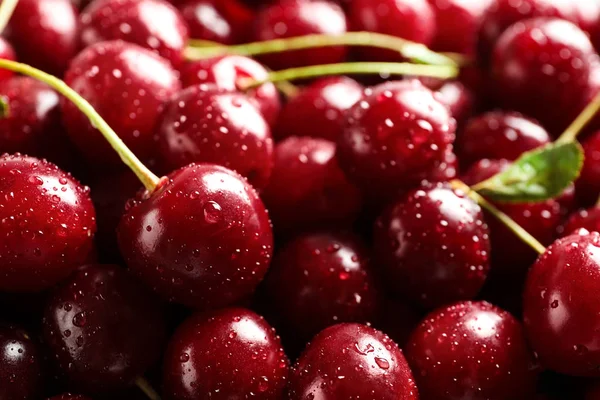 Deliciosas cerezas dulces maduras con gotas de agua como fondo, vista de cerca — Foto de Stock