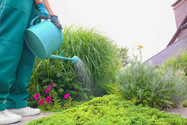 Worker watering plant at backyard, closeup. Home gardening