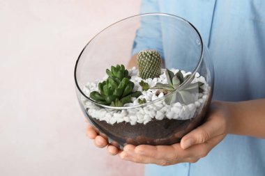 Kadın renk arka plan üzerinde farklı sulu ile florarium tutan, closeup. Metin için alan