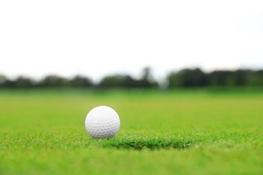 Yeşil sahada deliğin yakınında golf topu