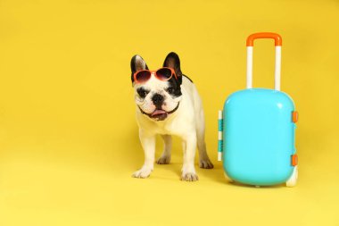 Güneş gözlüğü ve sarı arka plan üzerinde küçük bavul ile Fransız bulldog. Metin için alan
