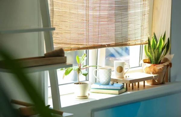 Tanaman hijau di ambang jendela di kamar. Interior bergaya — Stok Foto