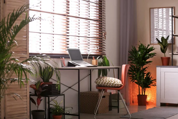 Interior de la habitación con lugar de trabajo y diferentes plantas de interior macetas — Foto de Stock