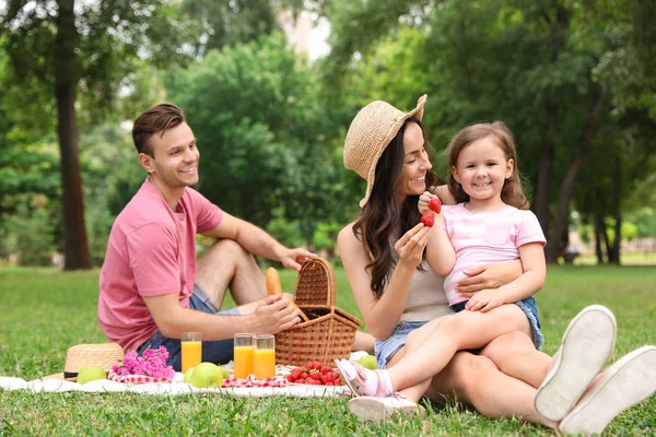 Nyári napon a kellemes családi piknik a parkban — Stock Fotó
