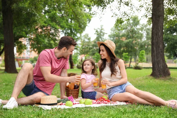 Familia feliz teniendo un picnic en el parque en el día de verano — Foto de Stock