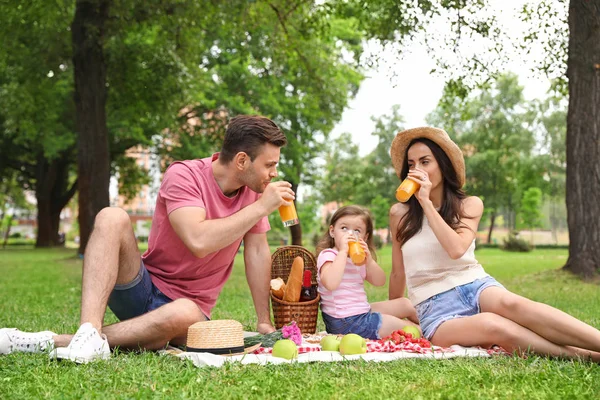 Famiglia felice che fa un picnic nel parco durante la giornata estiva — Foto Stock