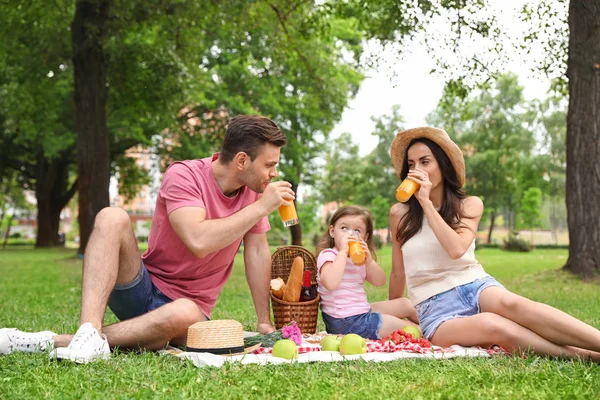 Familie fericită cu picnic în parc în ziua de vară — Fotografie, imagine de stoc