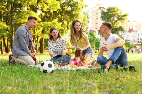 年轻人在夏天在公园里野餐 — 图库照片