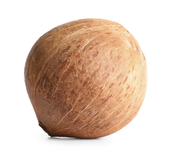 Ripe whole brown coconut on white background — Stock Photo, Image