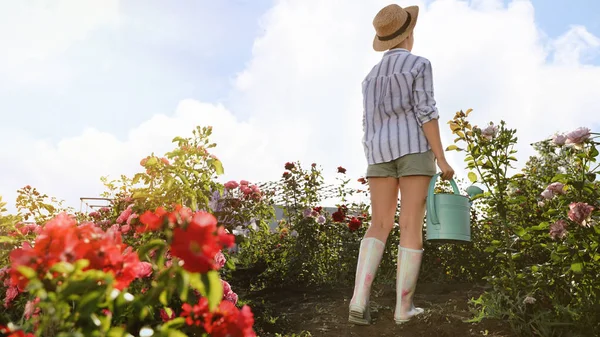 Wanita dengan air bisa dekat semak mawar di luar ruangan. Alat berkebun — Stok Foto