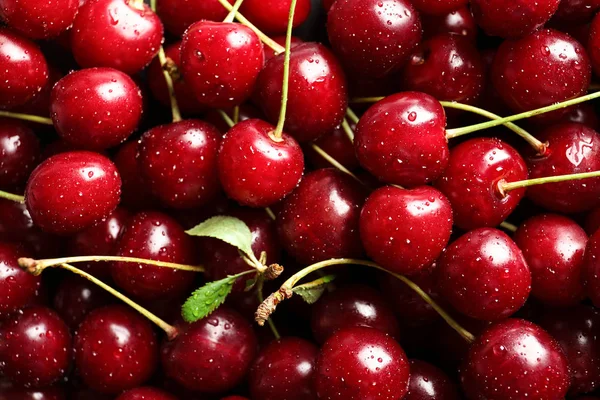 Deliciosas cerezas dulces maduras con gotas de agua como fondo, vista de cerca — Foto de Stock