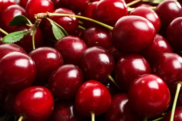 Deliciosas cerezas maduras como fondo, vista de cerca — Foto de Stock