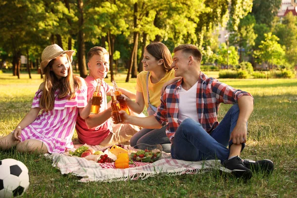 Jóvenes disfrutando de un picnic en el parque el día de verano — Foto de Stock