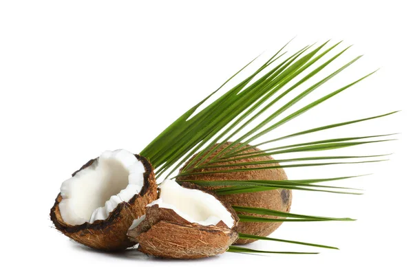 Noix de coco fraîches brun mûr avec des feuilles sur fond blanc — Photo