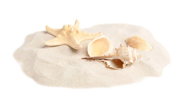 Pile of beach sand with beautiful starfish and sea shells on white background — Stock Photo, Image