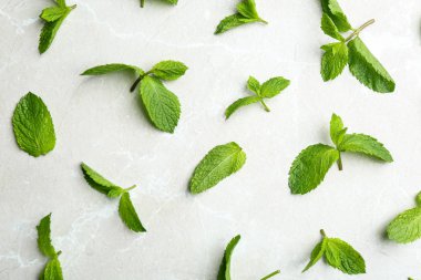 Gri mermer arka plan üzerinde taze nane yaprakları, düz yatıyordu