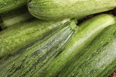 Arka plan olarak taze olgun yeşil kabak, closeup