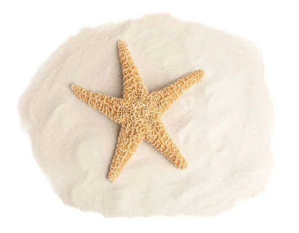 Pile of beach sand with beautiful starfish on white background, top view — Stock Photo, Image