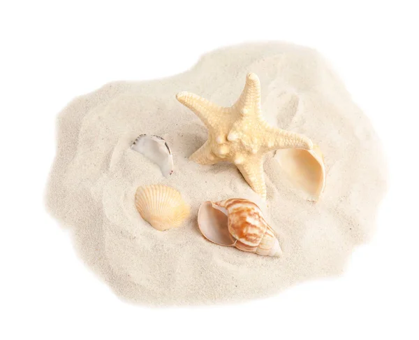 Pile of beach sand with beautiful starfish and sea shells on white background, top view — Stock Photo, Image