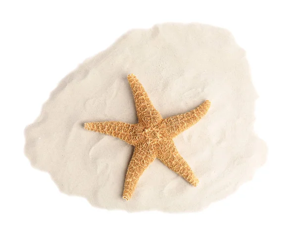 Montón de arena de playa con hermosas estrellas de mar sobre fondo blanco, vista superior —  Fotos de Stock
