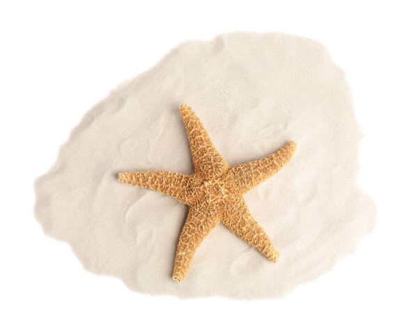 Pile of beach sand with beautiful starfish on white background, top view