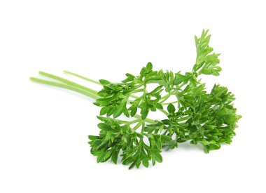 Beyaz arka planda taze yeşil organik maydanoz