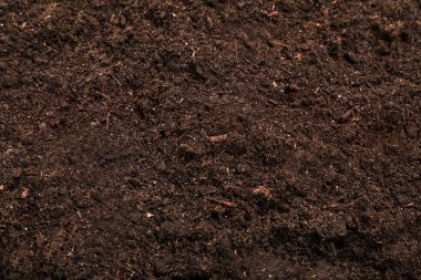 Arka plan olarak bahçe için taze toprak, closeup