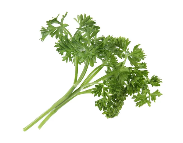 Fresh green organic parsley on white background — Stock Photo, Image