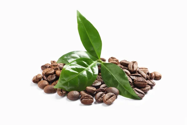 Čerstvé zelené listy a hromady kávových bobů izolovaných na bílém — Stock fotografie