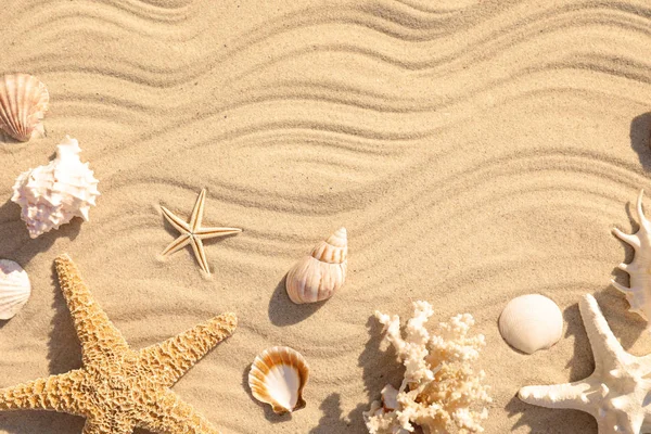 Estrella de mar y conchas marinas en la arena de la playa con patrón de olas, puesta plana. Espacio para texto — Foto de Stock