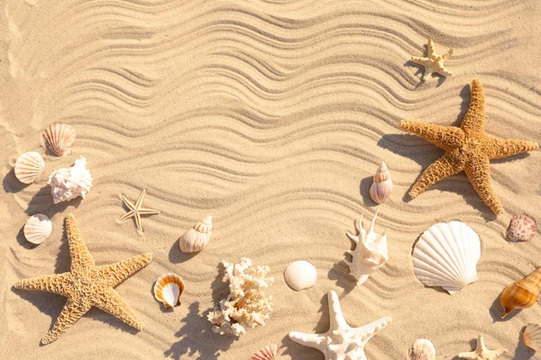 Estrella de mar y conchas marinas en la arena de la playa con patrón de olas, puesta plana. Espacio para texto — Foto de Stock