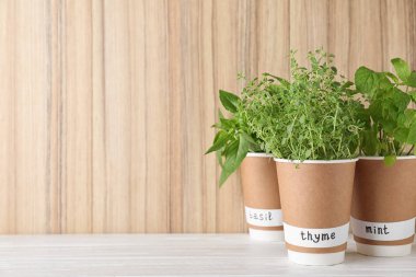 Ahşap duvar a yakın beyaz masada isim etiketleri ile kağıt bardak farklı otlar Fideler. Metin için alan