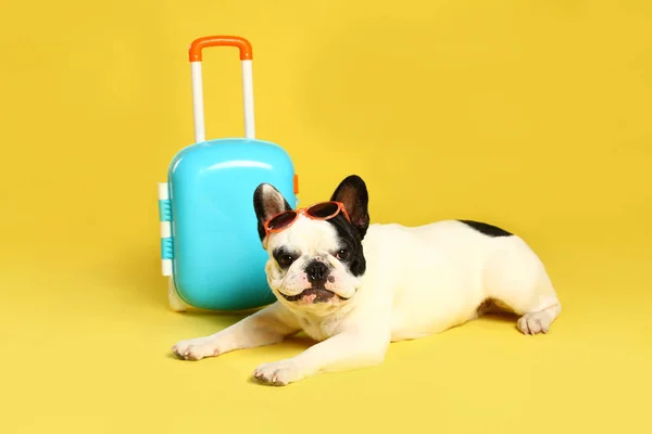Franse Bulldog met kleine koffer op gele achtergrond — Stockfoto