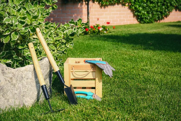 Set di attrezzi da giardinaggio e cassa di legno su erba verde — Foto Stock