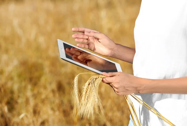 Agronomist met Tablet in tarwe veld. Graan graangewas — Stockfoto