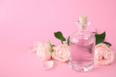 Pembe arka plan üzerinde uçucu yağ ve gül şişe