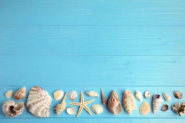 Composición plana con hermosas estrellas de mar y conchas de mar en la mesa de madera azul, espacio para el texto — Foto de Stock