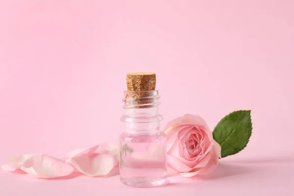 Butelka olejku eterowego i Róża na różowym tle — Zdjęcie stockowe