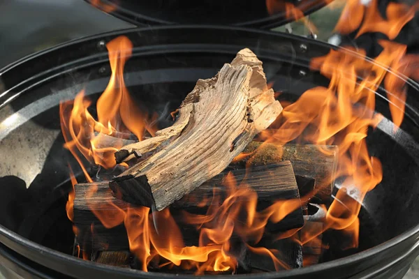 Nueva parrilla de barbacoa moderna con leña quemada, primer plano — Foto de Stock