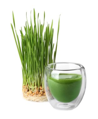 Glass of fresh wheat grass juice and sprouts on white background clipart