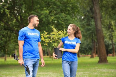 Yeşil parkta ağaç fidesi olan genç gönüllüler. Hayır işleri