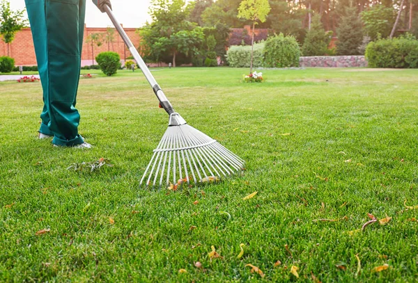 Frau harkt grünen Rasen im Hinterhof. Gartenarbeit zu Hause — Stockfoto