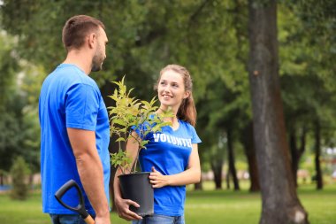 Yeşil parkta ağaç fidesi olan genç gönüllüler. Hayır işleri