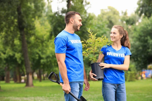 Yeşil parkta ağaç fidesi olan genç gönüllüler. Hayır işleri