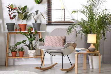 Farklı ev bitkileri ile şık oda iç