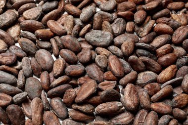 Arka plan olarak lezzetli kakao çekirdekleri, görünümüyukarıda