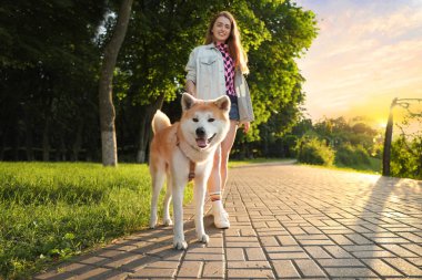 Young beautiful woman walking her adorable dog in park on sunny day clipart
