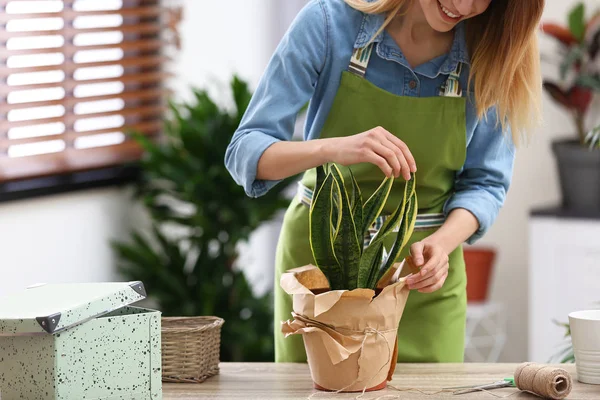 Mujer joven cuidando plantas de interior, primer plano. Elemento interior — Foto de Stock