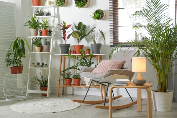 Intérieur élégant de la chambre avec différentes plantes à la maison — Photo