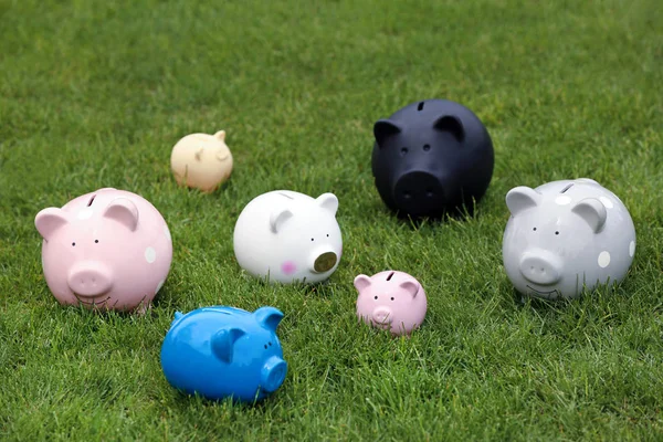 Verschillende Piggy Banks op groen gras buitenshuis — Stockfoto